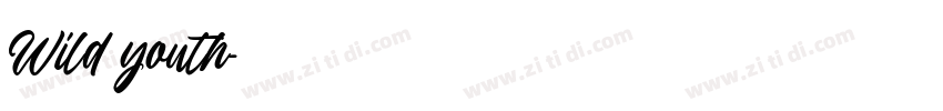 Wild youth字体转换